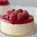 no bake greek yogurt jello cheesecake 2026 03 21 010940 1024x819 1