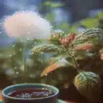 sweet little rain 2026 05 16 215330 1024x819 1